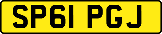 SP61PGJ