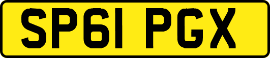 SP61PGX