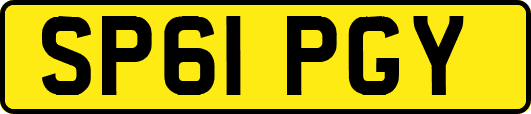 SP61PGY