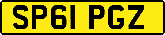 SP61PGZ