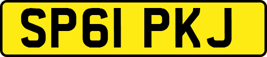 SP61PKJ