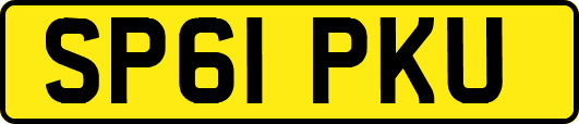 SP61PKU