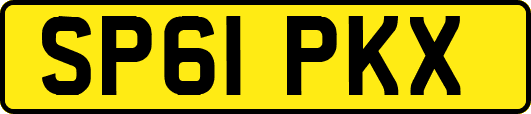 SP61PKX