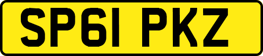 SP61PKZ