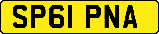 SP61PNA