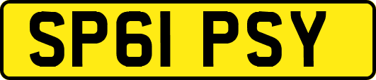SP61PSY