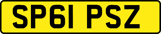 SP61PSZ