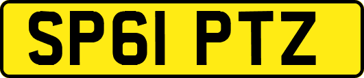 SP61PTZ
