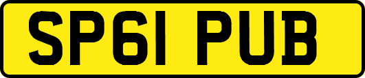 SP61PUB