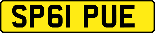 SP61PUE