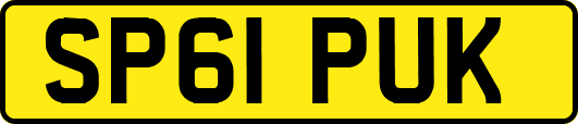 SP61PUK