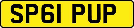 SP61PUP