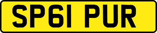 SP61PUR