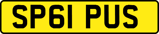 SP61PUS