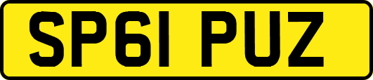 SP61PUZ