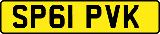 SP61PVK