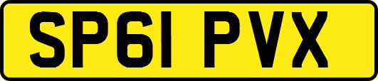 SP61PVX