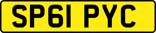 SP61PYC