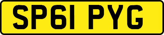 SP61PYG