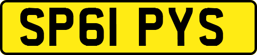 SP61PYS