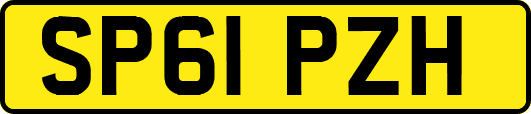 SP61PZH