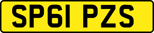 SP61PZS
