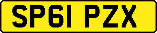 SP61PZX