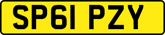 SP61PZY