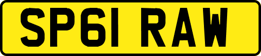 SP61RAW