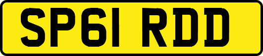 SP61RDD