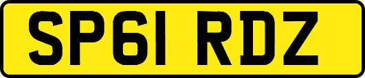 SP61RDZ