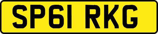 SP61RKG