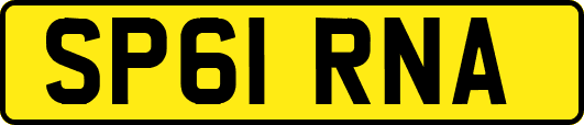 SP61RNA
