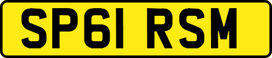 SP61RSM
