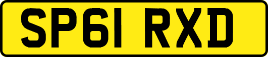 SP61RXD