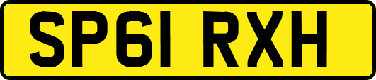 SP61RXH