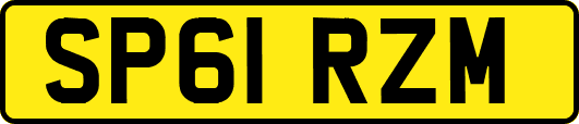 SP61RZM