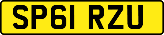 SP61RZU