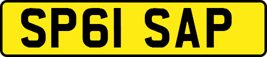 SP61SAP