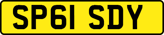 SP61SDY