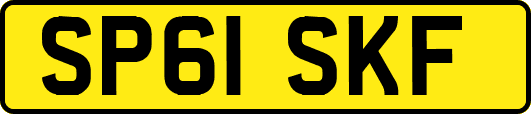 SP61SKF