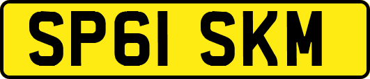 SP61SKM