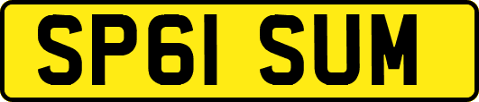 SP61SUM