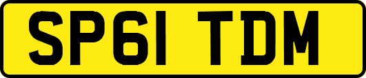 SP61TDM