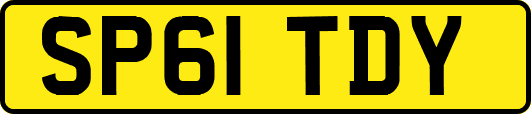 SP61TDY