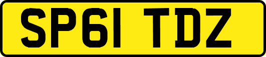 SP61TDZ