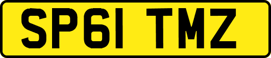 SP61TMZ