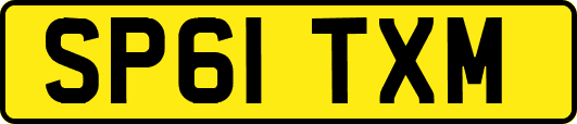 SP61TXM