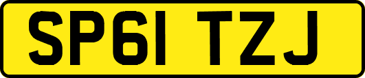 SP61TZJ