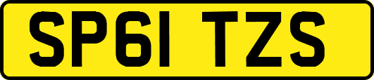 SP61TZS